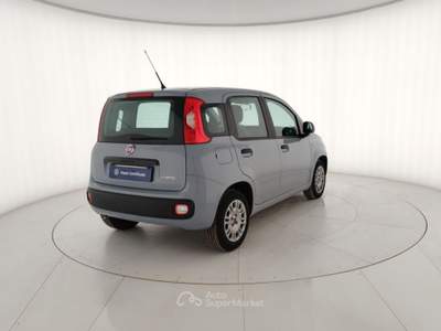 Fiat Panda 1.0 FireFly 70cv S&S Hybrid Grigio usata Massa
