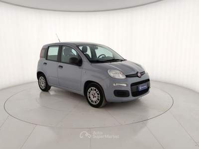 Fiat Panda 1.0 FireFly 70cv S&S Hybrid Grigio usata Massa