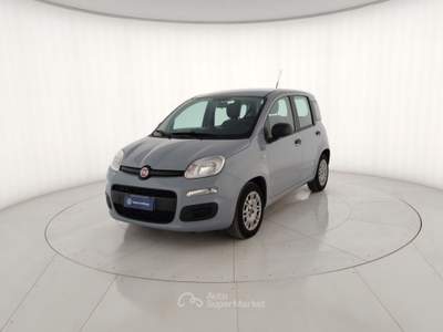 Fiat Panda 1.0 FireFly 70cv S&S Hybrid Grigio usata Massa
