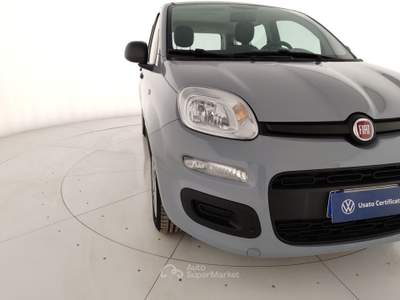 Fiat Panda 1.0 FireFly 70cv S&S Hybrid Grigio usata Massa