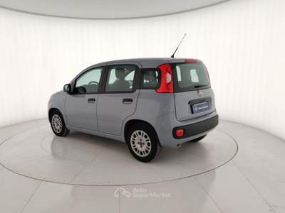 Fiat Panda 1.0 FireFly 70cv S&S Hybrid Grigio usata Massa