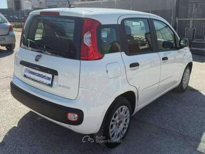 Fiat Panda VAN 1.0 HYBRID 4 POSTI EASY N1 - 2020 Bianco usata Corato