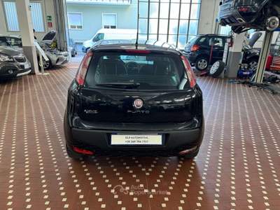 Fiat Punto Evo Punto Evo 1.4 5 porte Emotion Natural Power Nero usata Cinisello Balsamo