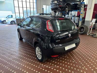 Fiat Punto Evo Punto Evo 1.4 5 porte Emotion Natural Power Nero usata Cinisello Balsamo