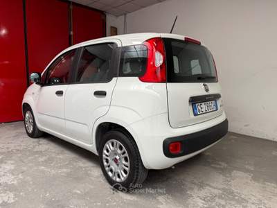 Fiat Panda FireFly S&S Hybrid Easy Bianco usata Trento