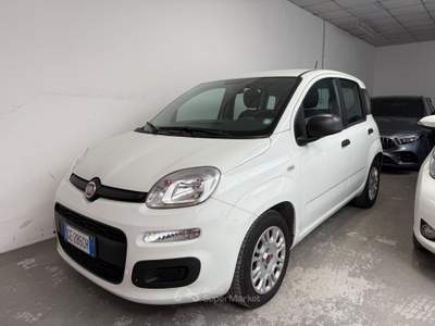 Fiat Panda FireFly S&S Hybrid Easy Bianco usata Trento
