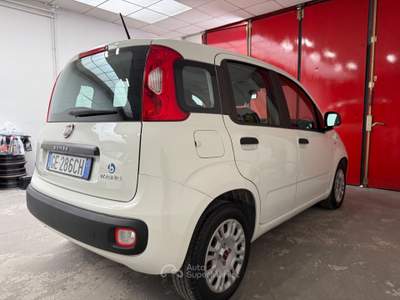 Fiat Panda FireFly S&S Hybrid Easy Bianco usata Trento