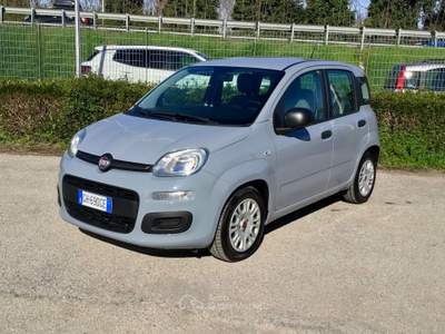 Fiat Panda FireFly S&S Hybrid Grigio usata TURRIVALIGNANI