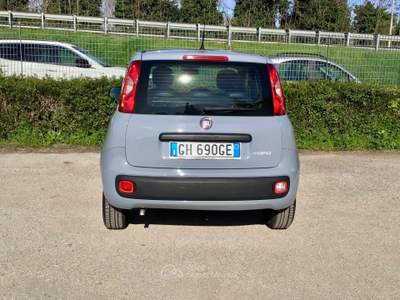 Fiat Panda FireFly S&S Hybrid Grigio usata TURRIVALIGNANI