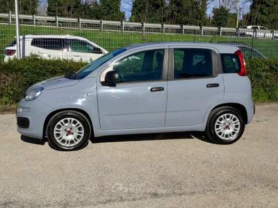 Fiat Panda FireFly S&S Hybrid Grigio usata TURRIVALIGNANI
