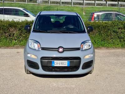 Fiat Panda FireFly S&S Hybrid Grigio usata TURRIVALIGNANI