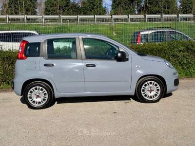 Fiat Panda FireFly S&S Hybrid Grigio usata TURRIVALIGNANI