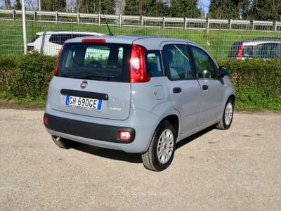 Fiat Panda FireFly S&S Hybrid Grigio usata TURRIVALIGNANI