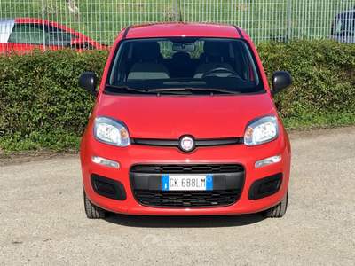 Fiat Panda FireFly S&S Hybrid 5 posti Rosso usata TURRIVALIGNANI