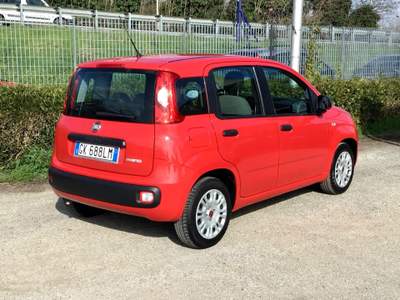 Fiat Panda FireFly S&S Hybrid 5 posti Rosso usata TURRIVALIGNANI