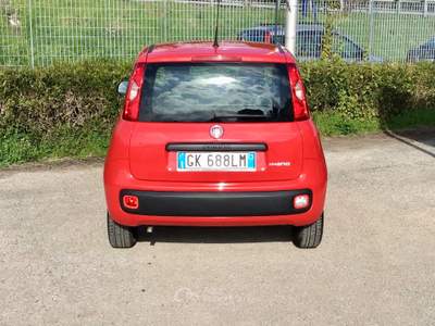 Fiat Panda FireFly S&S Hybrid 5 posti Rosso usata TURRIVALIGNANI