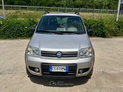 Fiat Panda 1.2 60Cv 4x4 Climbing 5 Posti Argento usata TURRIVALIGNANI