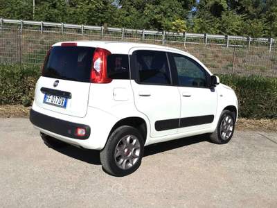 Fiat Panda 80 CV 4x4 Van 2 Posti Bianco usata TURRIVALIGNANI