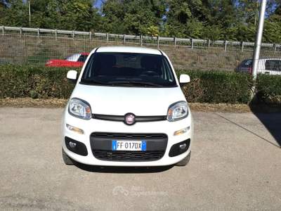 Fiat Panda 80 CV 4x4 Van 2 Posti Bianco usata TURRIVALIGNANI