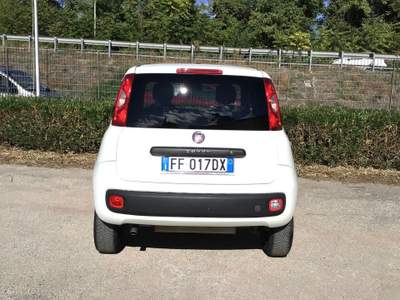 Fiat Panda 80 CV 4x4 Van 2 Posti Bianco usata TURRIVALIGNANI