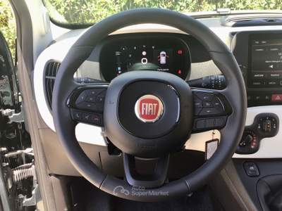 Fiat Panda Pandina Cross 1.0 FireFly 70Cv Hybrid Oro usata TURRIVALIGNANI