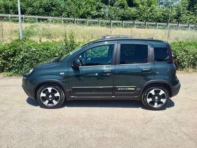 Fiat Panda Pandina Cross 1.0 FireFly 70Cv Hybrid Oro usata TURRIVALIGNANI
