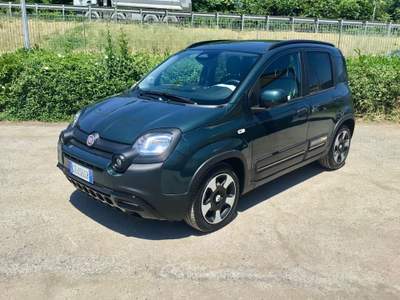 Fiat Panda Pandina Cross 1.0 FireFly 70Cv Hybrid Oro usata TURRIVALIGNANI