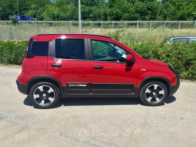 Fiat Panda Pandina Cross 1.0 FireFly S&S Hybrid Rosso usata TURRIVALIGNANI