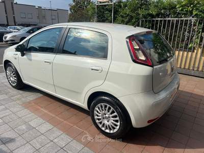 Fiat Punto 5 porte Easypower Young Bianco usata Teano