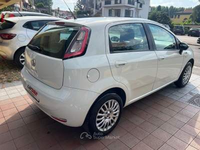 Fiat Punto 5 porte Easypower Young Bianco usata Teano
