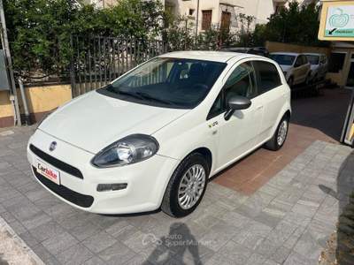 Fiat Punto 5 porte Easypower Young Bianco usata Teano