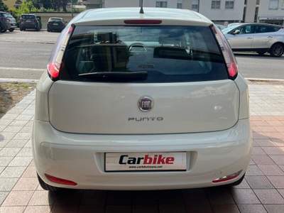 Fiat Punto 5 porte Easypower Young Bianco usata Teano