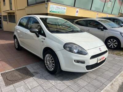 Fiat Punto 5 porte Easypower Young Bianco usata Teano