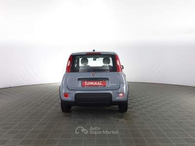 Fiat Panda Panda 1.0 FireFly Hybrid City Life Grigio usata Parma