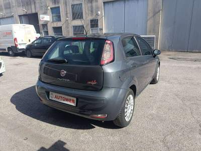 Fiat Punto 5p 1.2 Street E6 69cv Grigio usata Cassina de' Pecchi