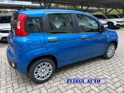 Fiat Panda PROMO FINANZIAM 1.0 HYBRID ICON 5 posti KM 0 Blu/Azzurro usata CASTELLO DI ANNONE