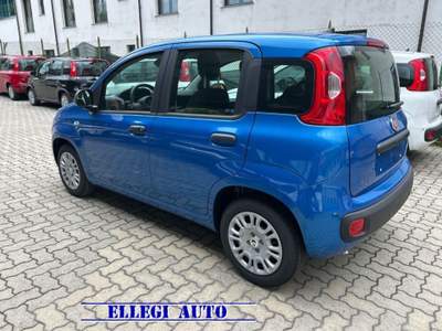 Fiat Panda PROMO FINANZIAM 1.0 HYBRID ICON 5 posti KM 0 Blu/Azzurro usata CASTELLO DI ANNONE