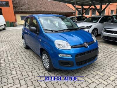 Fiat Panda PROMO FINANZIAM 1.0 HYBRID ICON 5 posti KM 0 Blu/Azzurro usata CASTELLO DI ANNONE