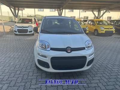 Fiat Panda PROMO FINANZ. 1.0 HYBRID ICON 5 posti KM 0 Bianco usata CASTELLO DI ANNONE