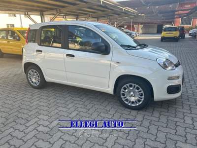 Fiat Panda PROMO FINANZ. 1.0 HYBRID ICON 5 posti KM 0 Bianco usata CASTELLO DI ANNONE