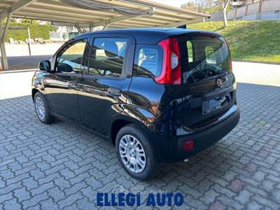 Fiat Panda PROMO FINANZ 1.0 HYBRID ICON  KM 0 Nero usata CASTELLO DI ANNONE
