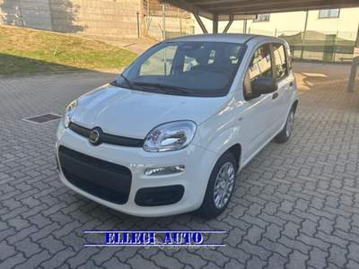 Fiat Panda 1.0 HYBRID ICON 5 posti KM 0 Bianco usata CASTELLO DI ANNONE