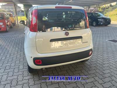 Fiat Panda 1.0 HYBRID ICON 5 posti KM 0 Bianco usata CASTELLO DI ANNONE