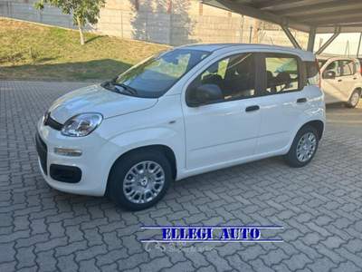 Fiat Panda 1.0 HYBRID ICON 5 posti KM 0 Bianco usata CASTELLO DI ANNONE