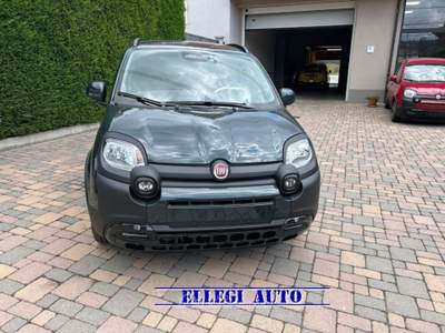 Fiat Panda PANDINA CROSS  1.0  Hybrid KM0 Verde usata CASTELLO DI ANNONE