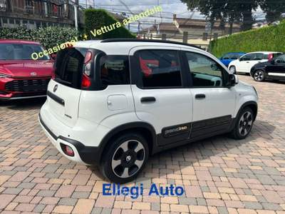 Fiat Pandina AZIENDALE 1.0 FireFly 65 CV Hybrid Cross Bianco usata CASTELLO DI ANNONE