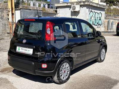Fiat Panda FIAT Panda 1.0 FireFly S&S Hybrid Nero usata Montesilvano