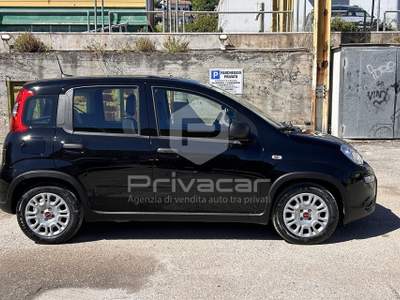 Fiat Panda FIAT Panda 1.0 FireFly S&S Hybrid Nero usata Montesilvano