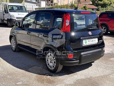 Fiat Panda FIAT Panda 1.0 FireFly S&S Hybrid Nero usata Montesilvano
