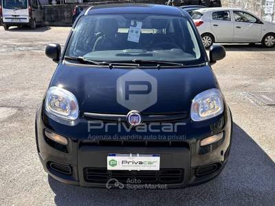 Fiat Panda FIAT Panda 1.0 FireFly S&S Hybrid Nero usata Montesilvano